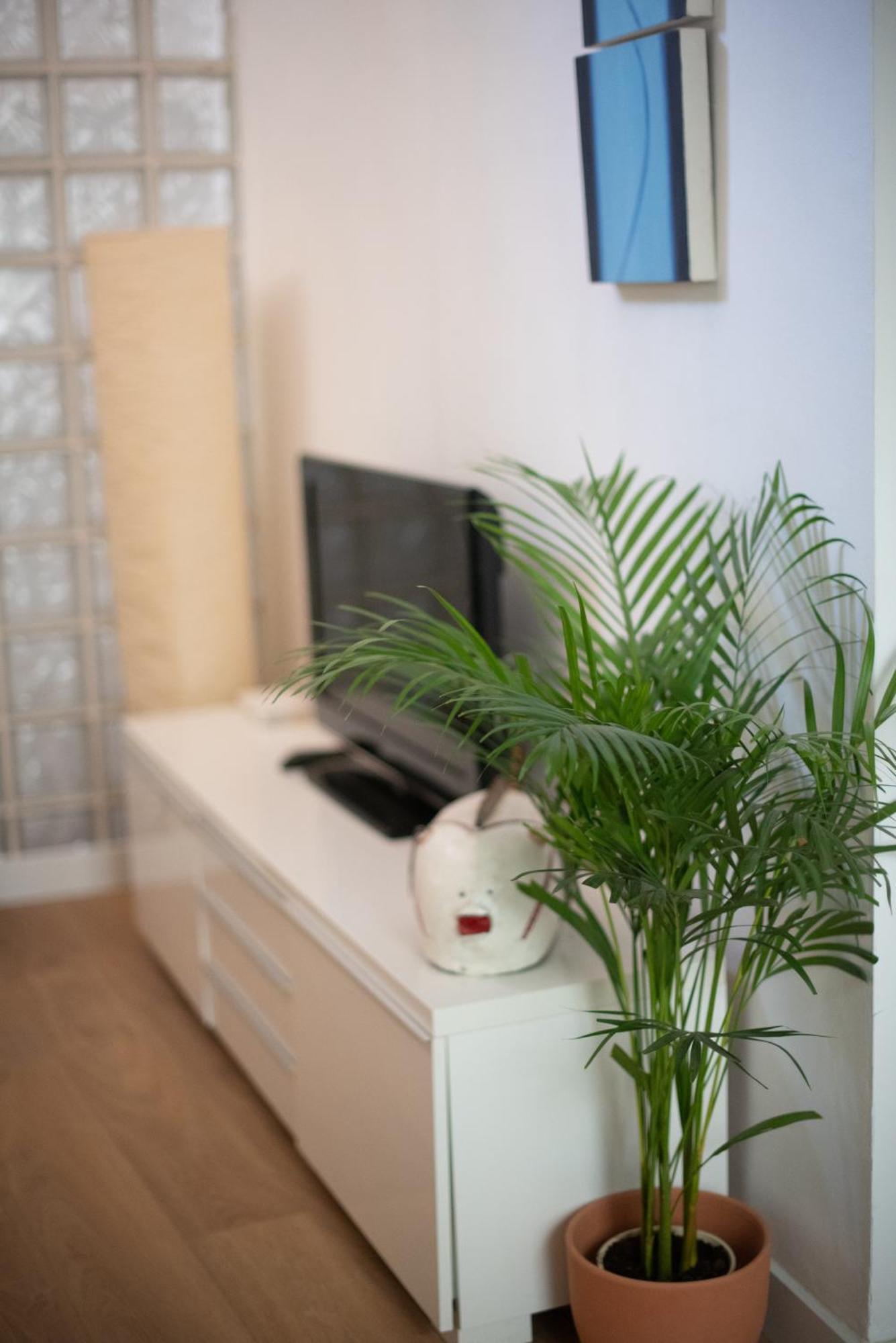 Cozy & Quiet Apartment In The Center Málaga Eksteriør billede